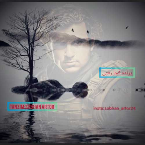 سبحان آرتور پرنده کجا رفتی